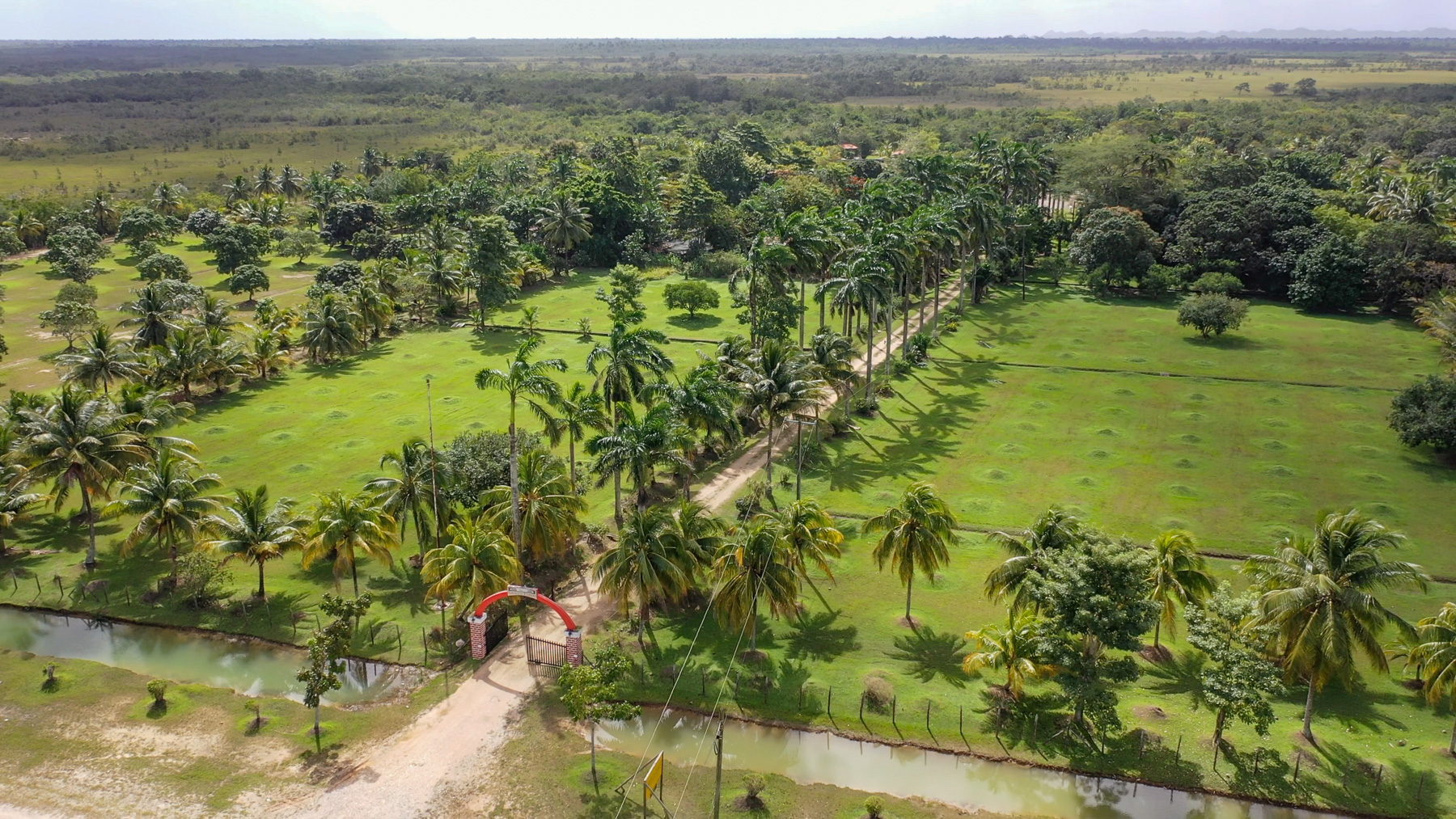 Tropical Park Real Estate • Vista Real Estate